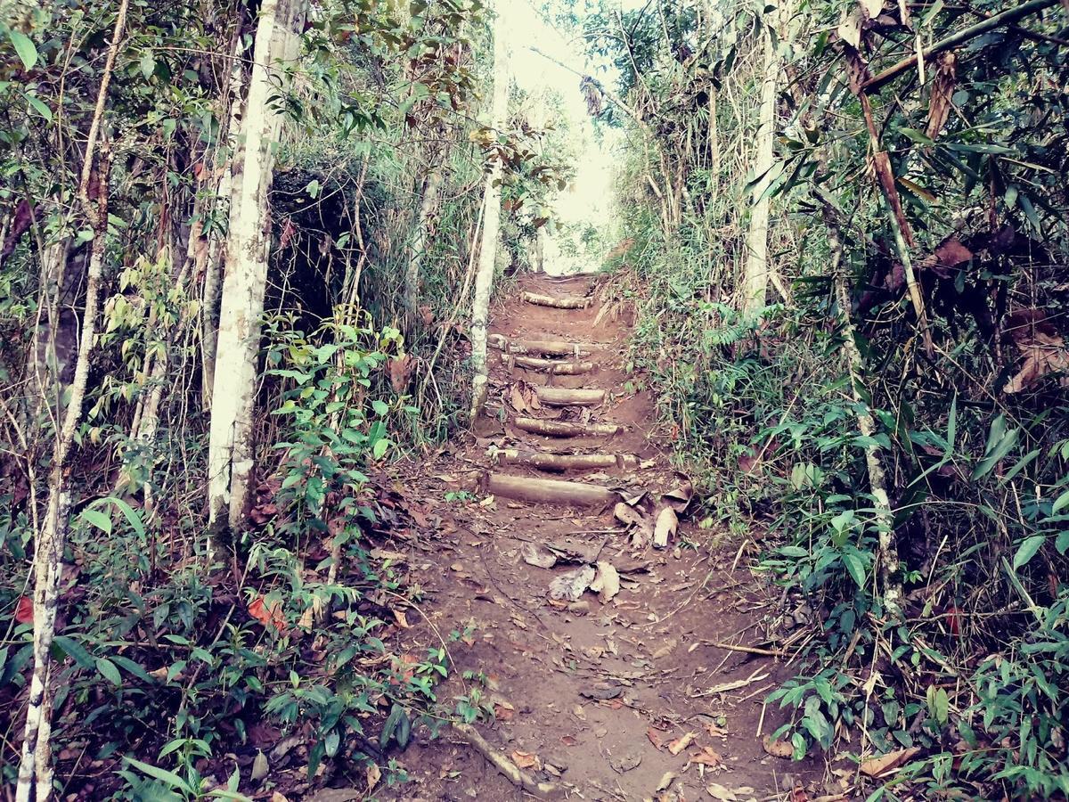 Canto dos Pássaros Nova Friburgo Exterior foto